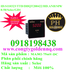 Đồng Hồ Đo Dòng Selec MA302-75mV-DC  -h0850n130323