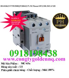 Contactor LS MC-65a 30kW 2NO+2NC                01062023