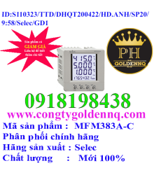 Đồng Hồ Đo Đa Năng Selec MFM383A-C  n130323