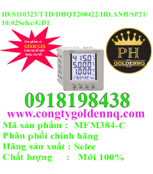 Đồng Hồ Đo Đa Năng Selec MFM384-C  n130323