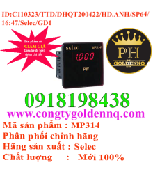 Đồng Hồ Đo Hệ Số CosPhi Selec MP314  -h1648n110323