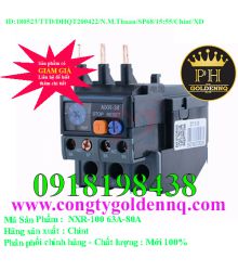 Relay nhiệt Chint (dùng cho NXC) NXR‐100 63A‐80A