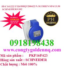 Ổ Cắm Âm Dạng Nghiêng 2P-3P-4P 6H IP44 16A-32A Schneider         sp4 -n141222-1351