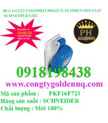 Ổ Cắm Âm Dạng Nghiêng 2P-3P-4P 6H IP67 16A-125A Schneider         sp3 -n141222-1347