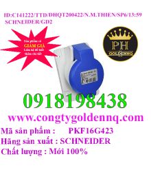 Ổ Cắm Âm Dạng Thẳng 2P-3P-4P 6H IP44 16A-32A Schneider       sp6 -n141222-1359