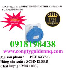 Ổ Cắm Âm Dạng Thẳng 2P-3P-4P 6H IP67 16A-125A Schneider        sp5 -n141222-1354
