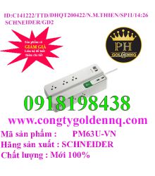 Ổ Cắm Chống Sét Lan Truyền: 6 Ổ Cắm, 3m, 2 Cổng Sạc USB 2.4A PM63U-VN Schneider      sp11 -n141222-1426