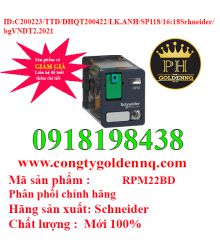 Relay trung gian RPM22BD Schneider