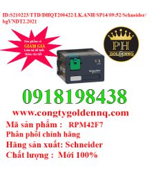 Relay trung gian RPM42F7 Schneider