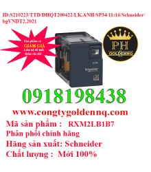 Relay trung gian RXM2LB1B7 Schneider