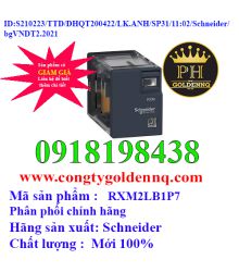 Relay trung gian RXM2LB1P7 Schneider