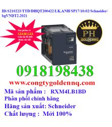 Relay trung gian RXM4LB1BD Schneider