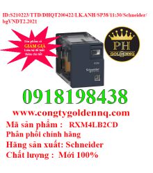 Relay trung gian RXM4LB2CD Schneider