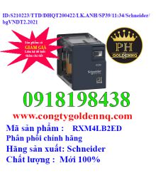 Relay trung gian RXM4LB2ED Schneider