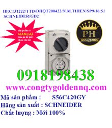 Ổ Cắm Có công tắc IP66 4P 20A-50A 500V IP66 Schneider       sp9 -n131222-1650