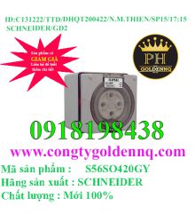 Ổ Cắm IP66 4P 20A-32A Schneider      sp15 -n131222-1715