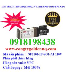 Van điện từ YPC SF2101-IP-SG1-A1 110V