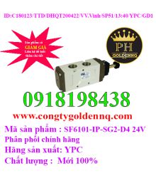 Van điện từ YPC SF6101-IP-SG2-D4 24V