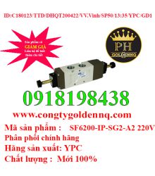 Van điện từ YPC SF6200-IP-SG2-A2 220V