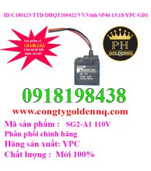 Cuộn coil YPC SG2-A1 110V