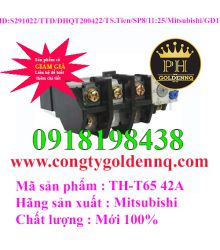 Relay nhiệt Mitsubishi TH-T65 42A-sp8