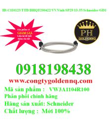 VW3A1104R100 - Cáp kết nối bộ kít và biến tần - Phụ kiện biến tần Schneider sp29